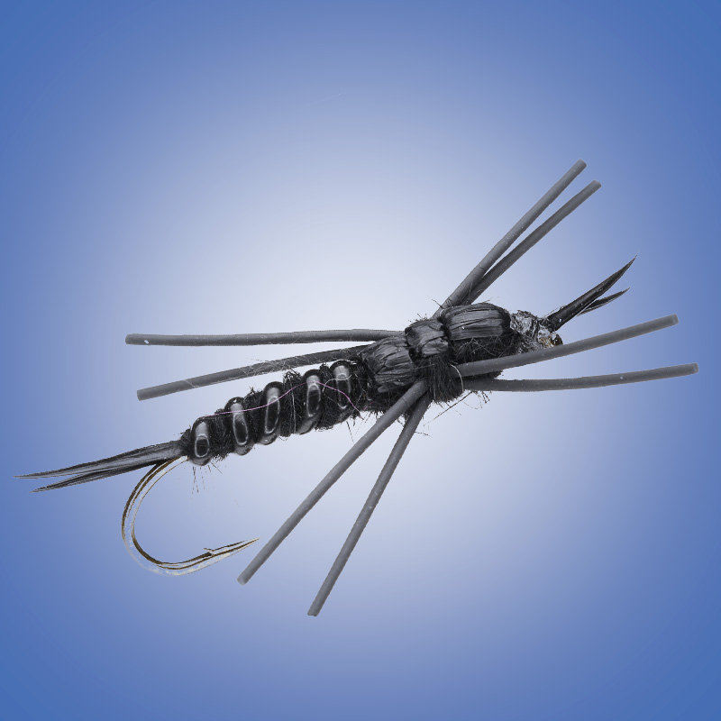 Black Stone Fly