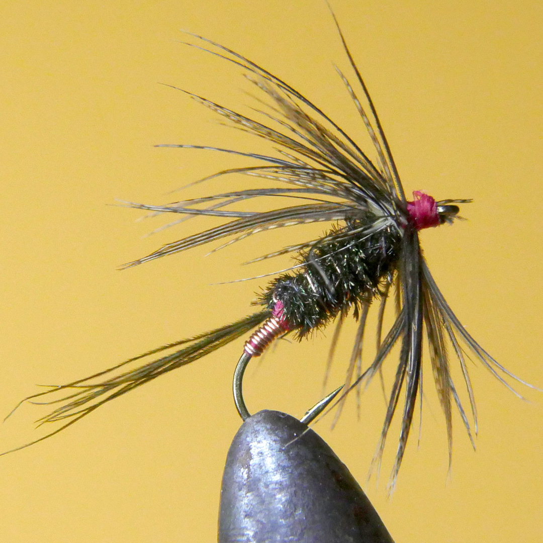 Carey Special