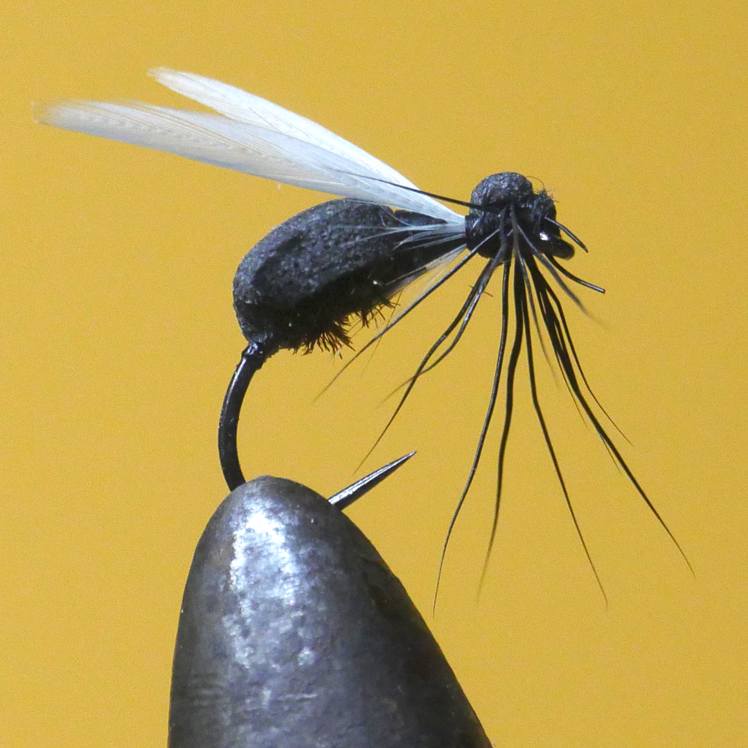 Loco Foam Ant