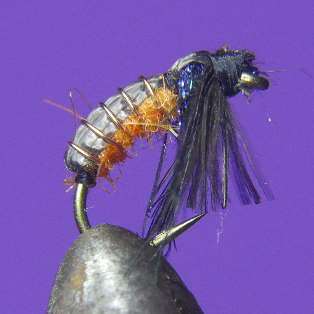 October Caddis Pupa
