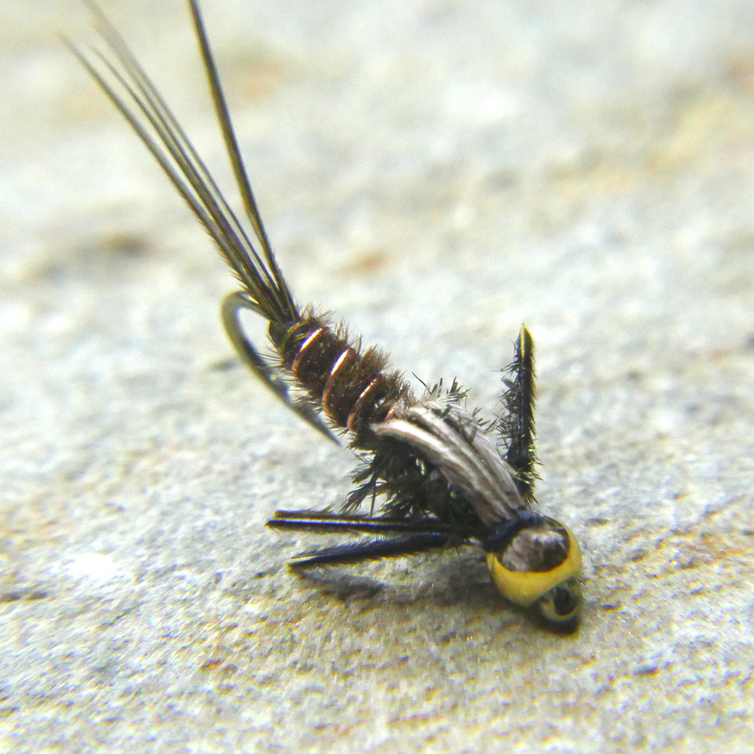 Pheasant Tail