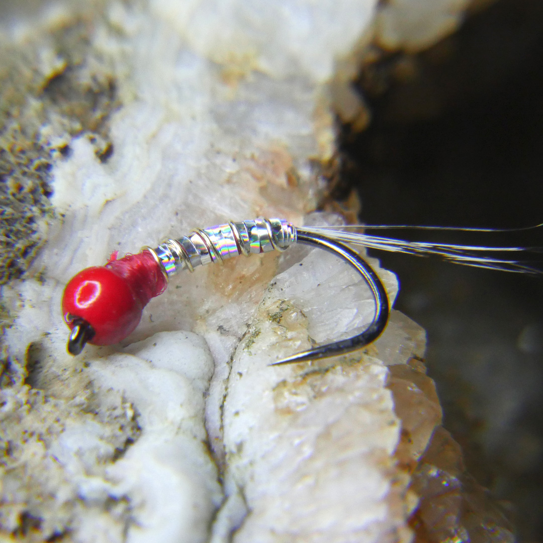 Rainbow Warrior