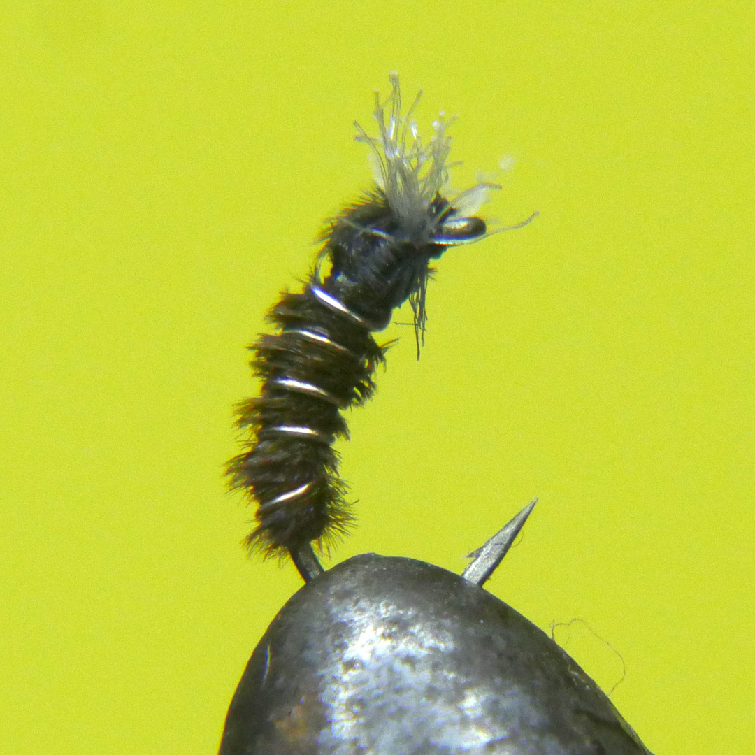Winter Midge Pupa