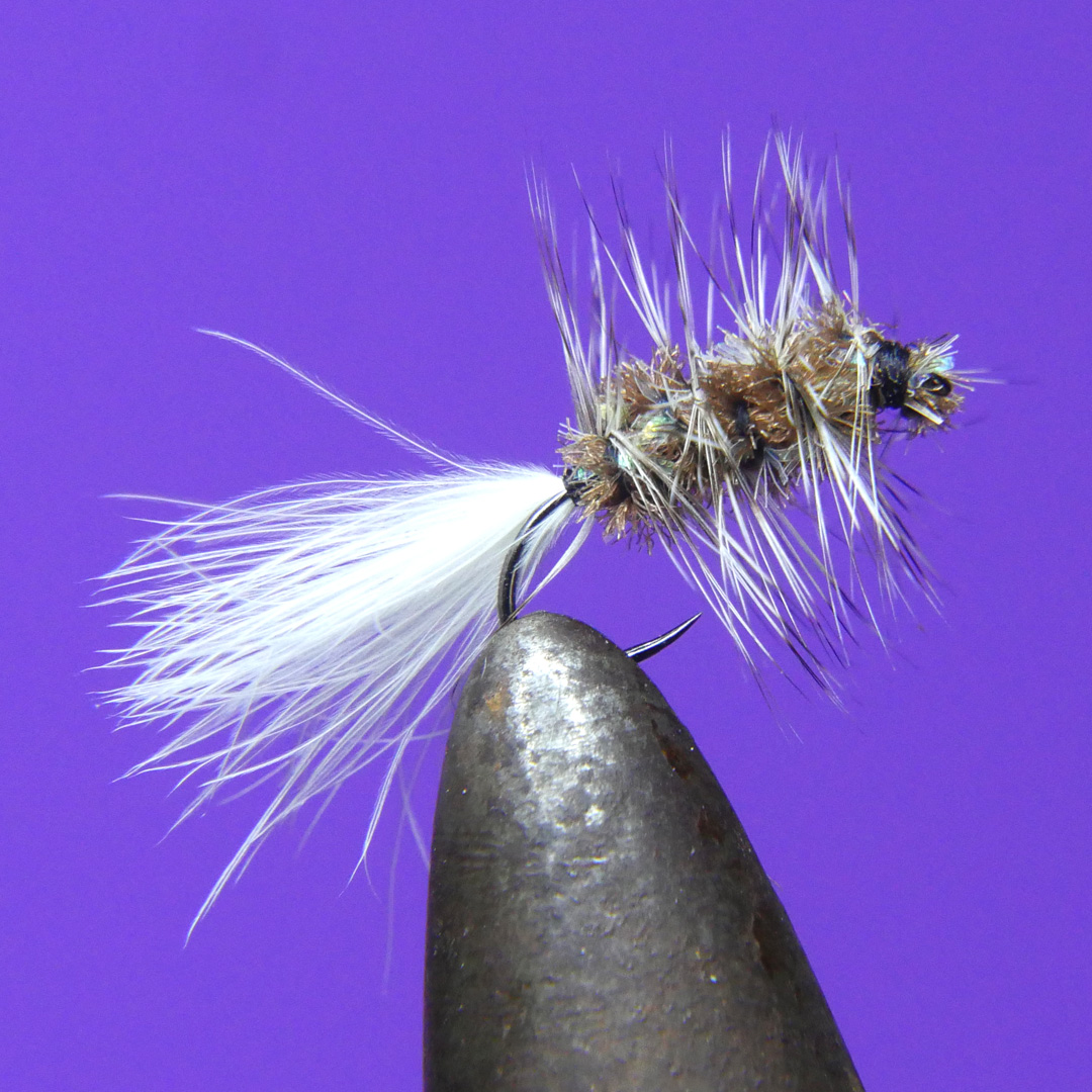 Wooly Bugger