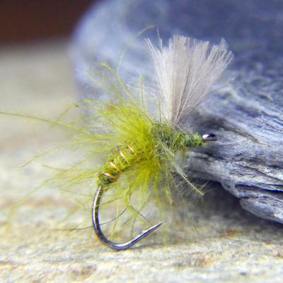 CDC Emerger