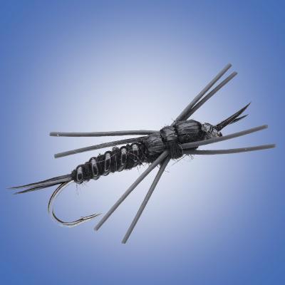 Black Stone Fly