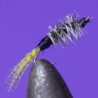 CK Nymph