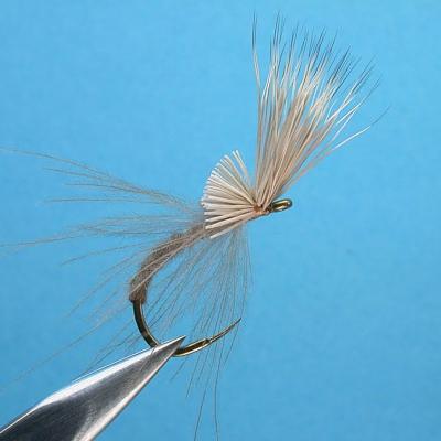 Crippled CDC and Elk