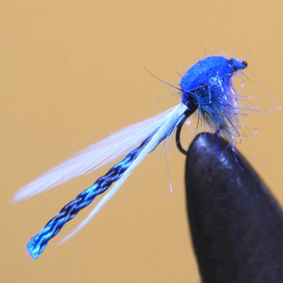 Damsel Fly