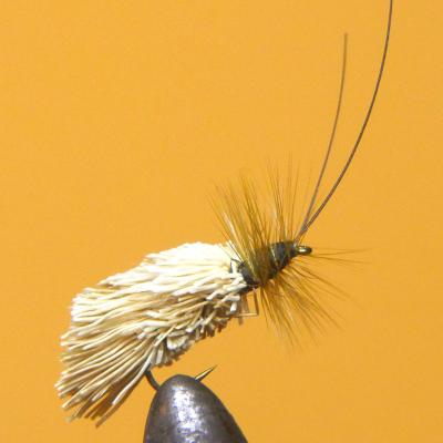 Goddard Caddis