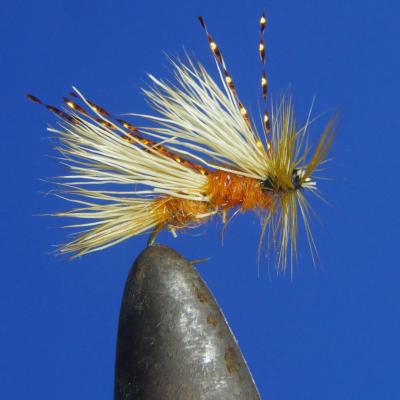 October Caddis