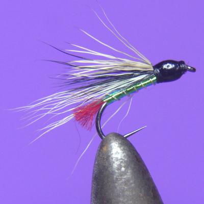 Black Nose Dace