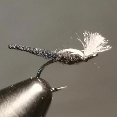 Palamino Midge