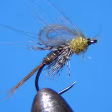 CDC Pheasant Tail Emerger