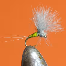 Blue Winged Olive