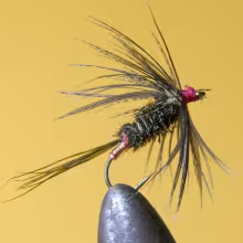 Carey Special