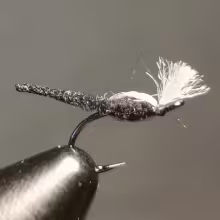 Palamino Midge