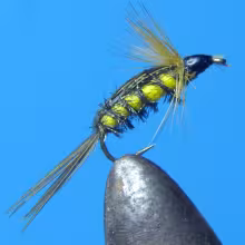 Tellico Nymph