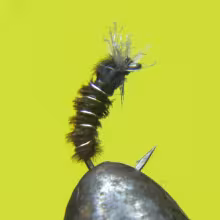 Winter Midge Pupa